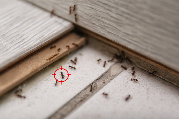 Best Wildlife Control Services  in East Syracuse, NY
