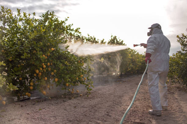 East Syracuse, NY Pest Control Company