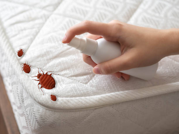 Best Pest Prevention Services  in East Syracuse, NY