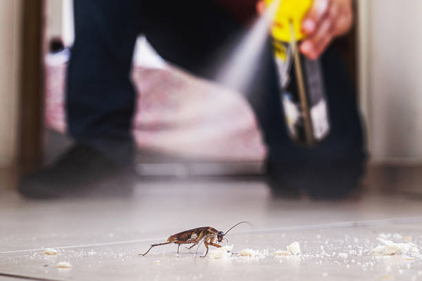 Best Pest Control for Restaurants  in East Syracuse, NY